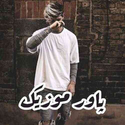 شایان یو شاید بشه این یه دفعه رو بگذریم